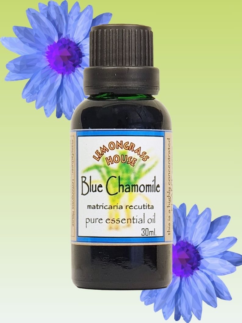 Pure Essential Oil Blue Chamomile