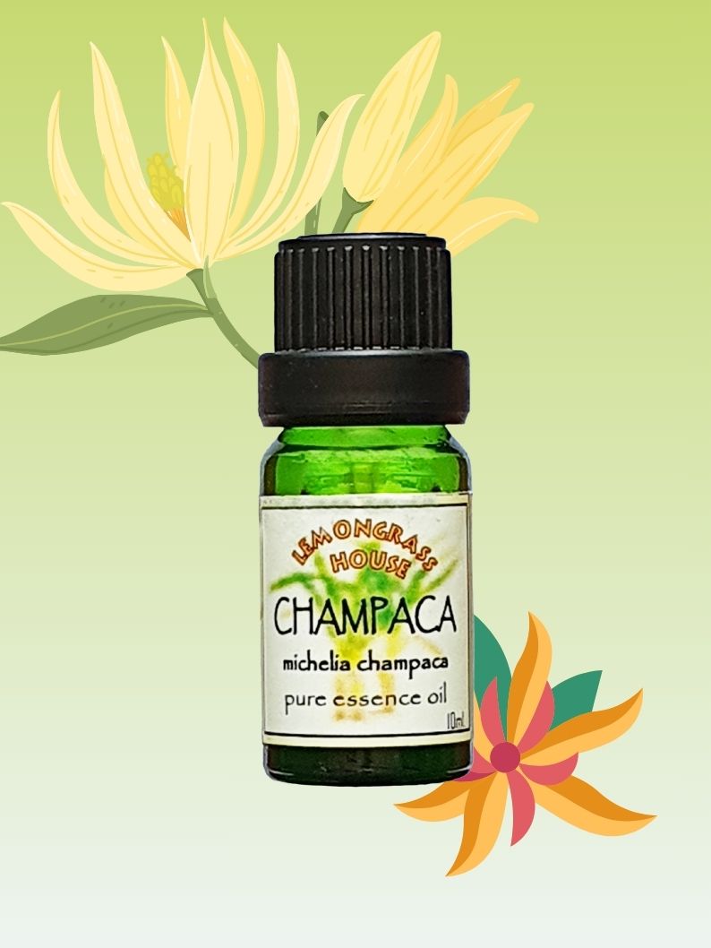 Pure Essential Oil Champaca