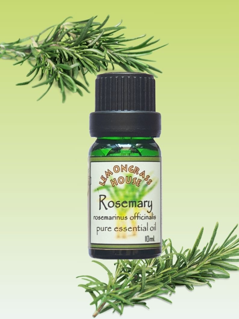 Pure Essential Oil Rosemary