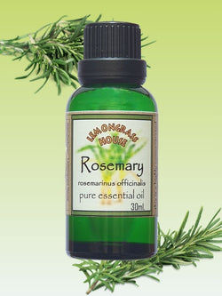 Pure Essential Oil Rosemary