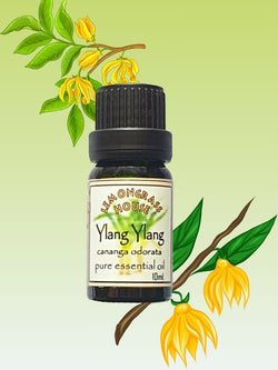 Pure Essential Oil Ylang Ylang