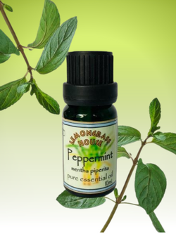 Pure Essential Oil Peppermint
