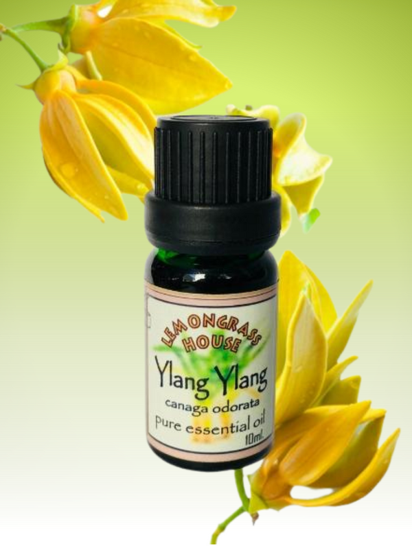 Pure Essential Oil Ylang Ylang