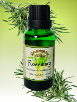 Pure Essential Oil Rosemary